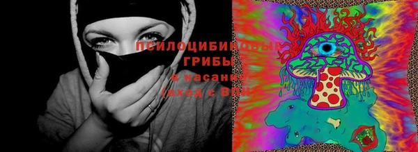 мяу мяу мука Волоколамск