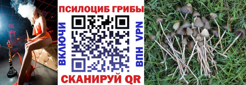 даркнет сайт  Волоколамск  Галлюциногенные грибы ЛСД 